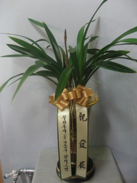 12-03 ڴ ȭ