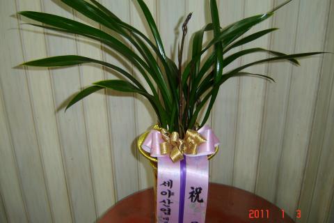 01-03 ߾ȸ 糭