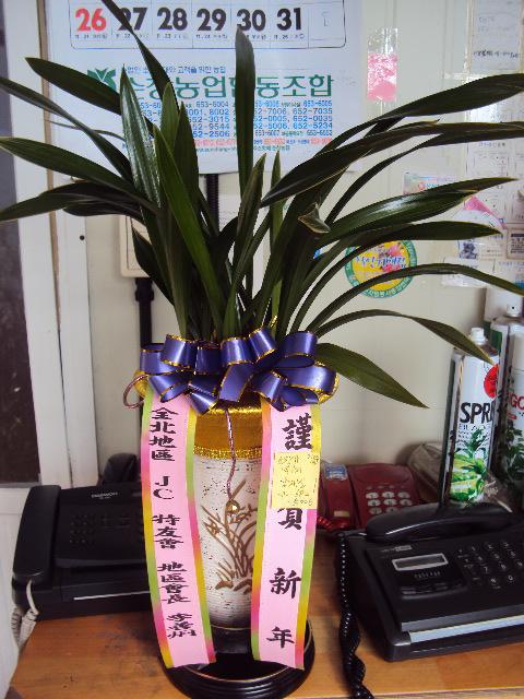 01-03 ̼ 糭-2