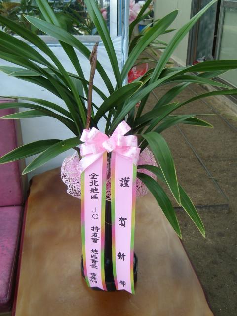 01-03 ̼ 糭