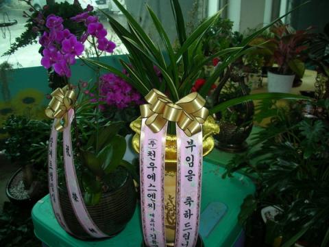 01-04 õ 糭