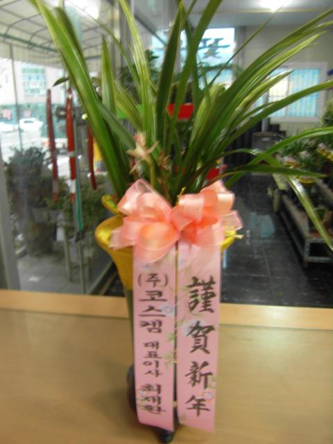 01-04 ڽʹ 糭