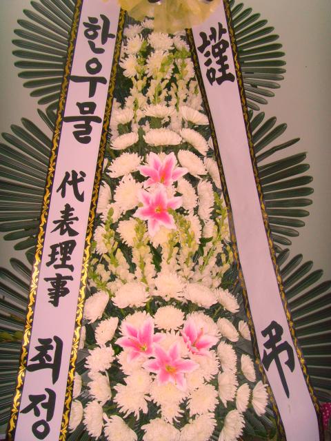 1-17 ѿ칰 3