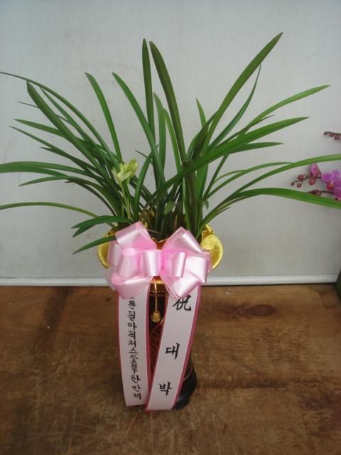 1-25 ݼ 糭