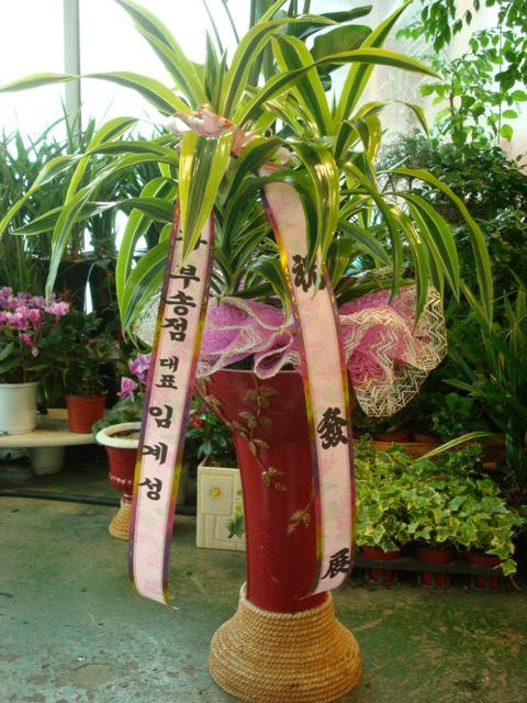 1-29 Ӱ輺 ȭ