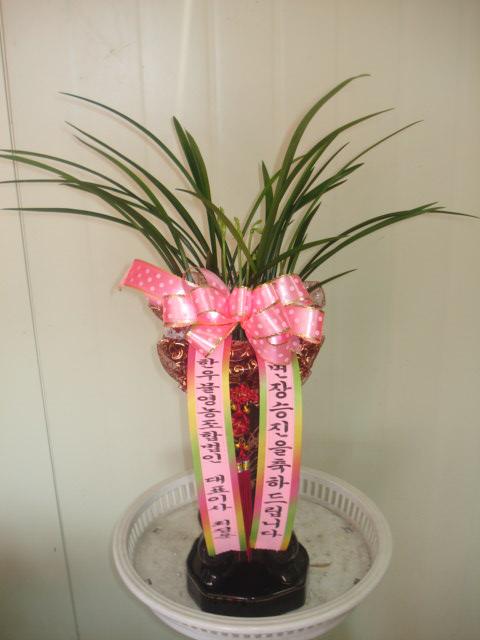 1-31 ѿ칰 糭