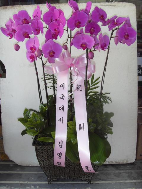 10-06  糭