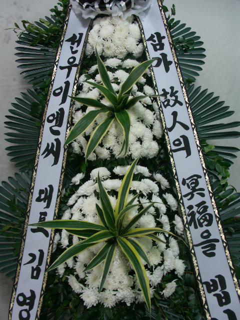 10-11 δ 3