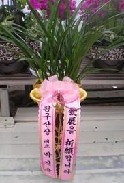 10-11 ڱ 糭