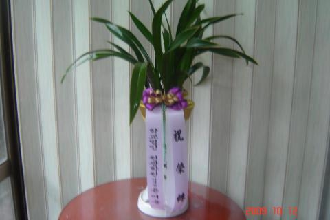 10-12ϰǼ 糭