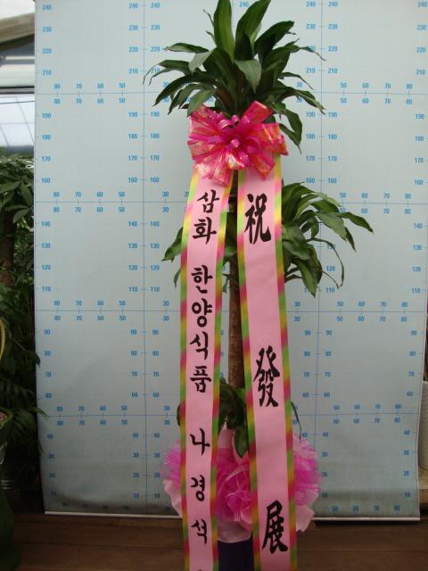 10-16 Ź 
