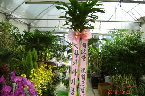 10-26 輺 