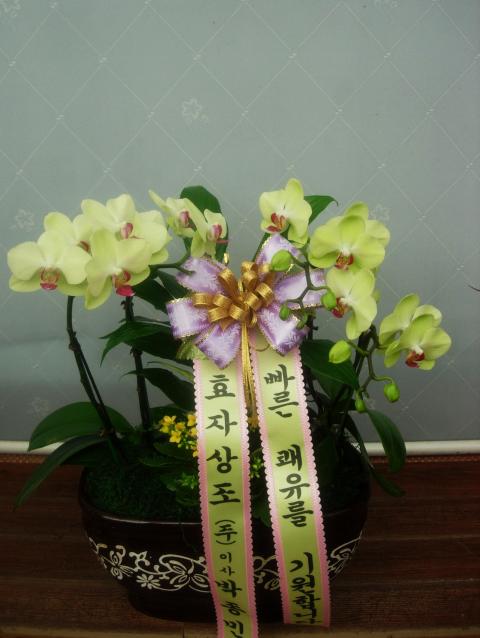 10-28 δ 糭