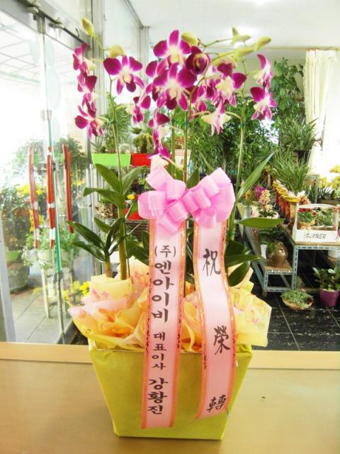 11-03 ȸ 糭