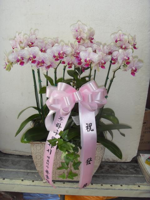 11-06 ϳλô 糭