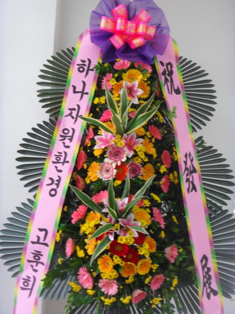 11-06 ϳڿ 3