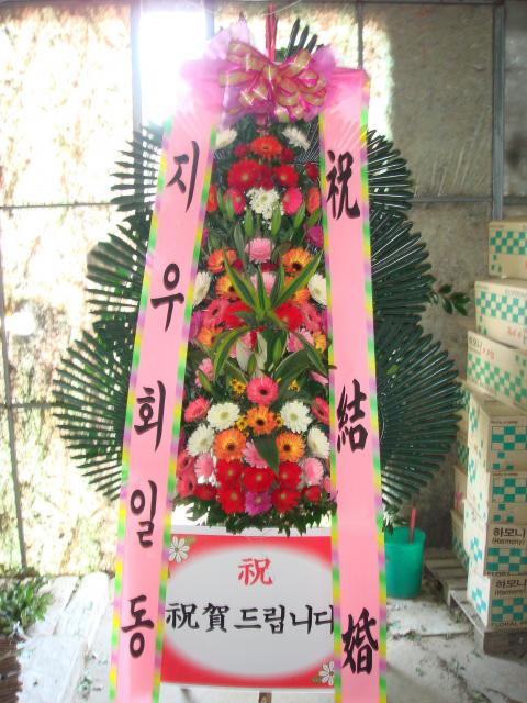 11-22 迵ش 3