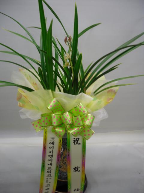 11-24 ʴ 糭