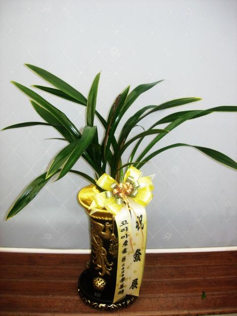 11-27 ̼ 糭,ȭ