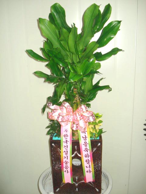 12-02 ѱǼ 