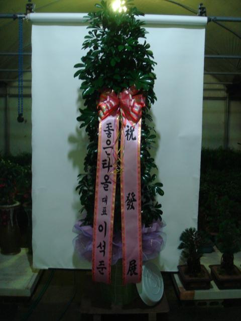 12-05 ƴ ȫ