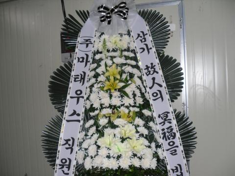 12-08 ¿콺 3
