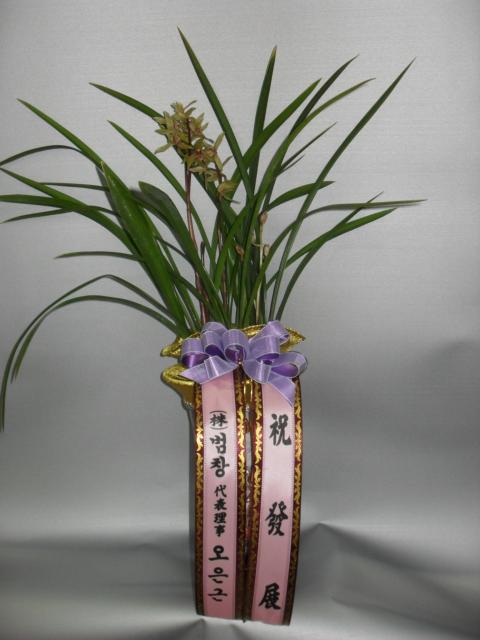 12-08  糭-üȫ