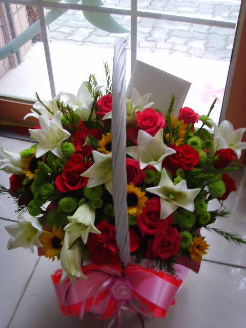 12-08 ϳλô ɹٱ