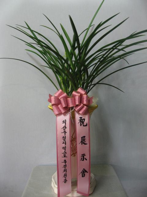 12-10 ڿ´ 糭