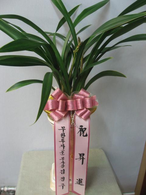 12-16 ڴ ȭ