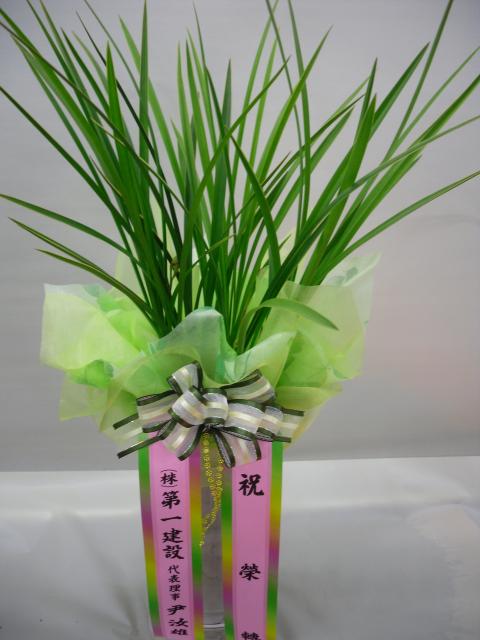 12-20 ϰǼ 糭