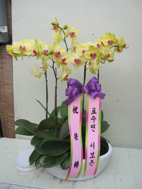 12-23  糭