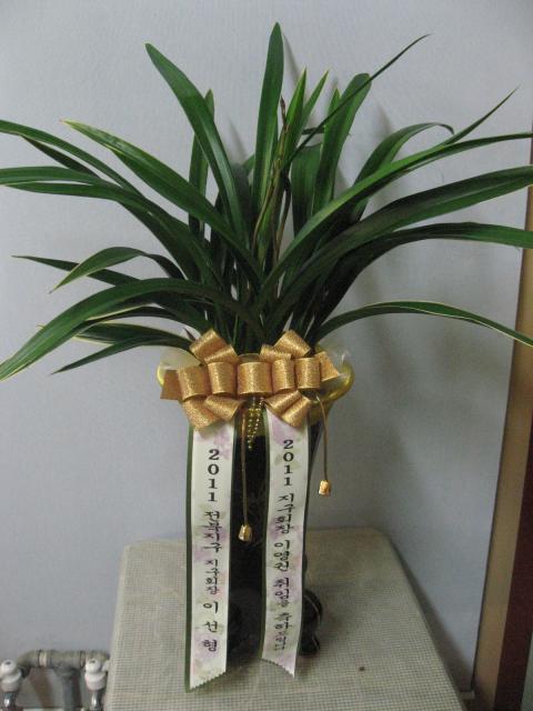 12-23 ̼ 糭