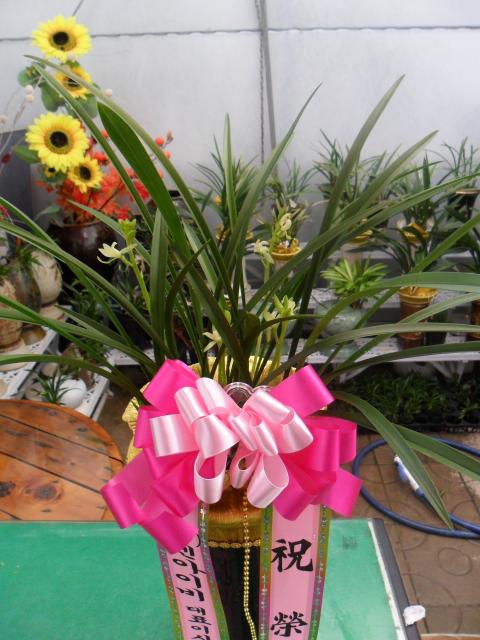 12-28 ̺ 糭