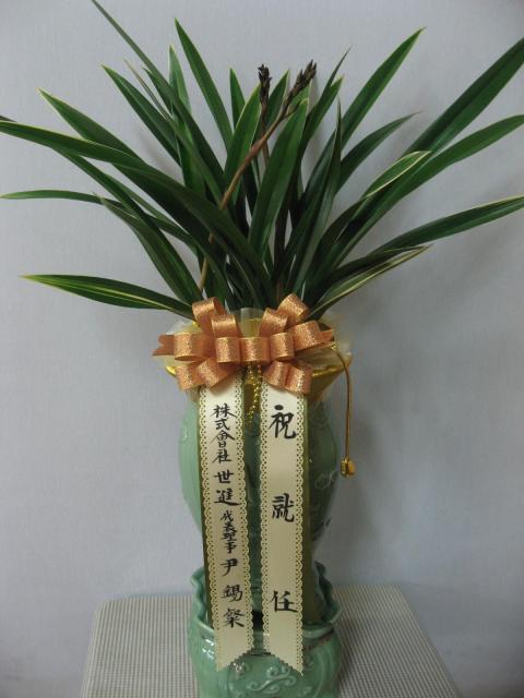 12-28  糭