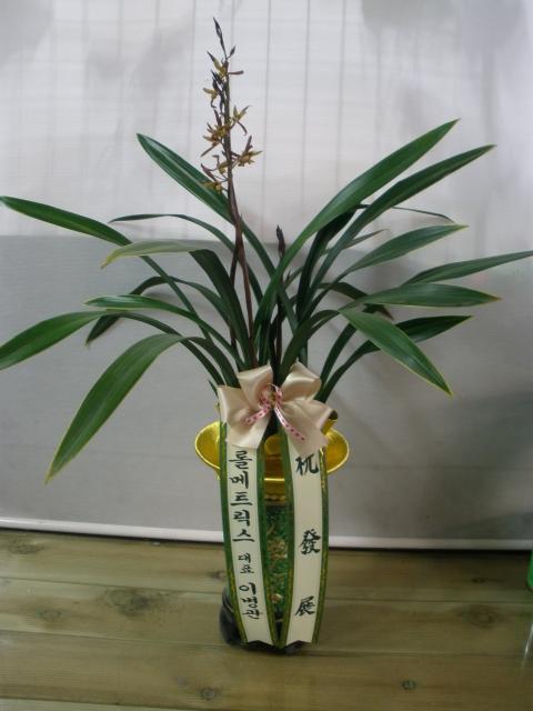 2-19 ѸƮ 糭