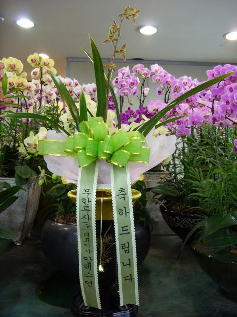 2-23 ڴ 糭