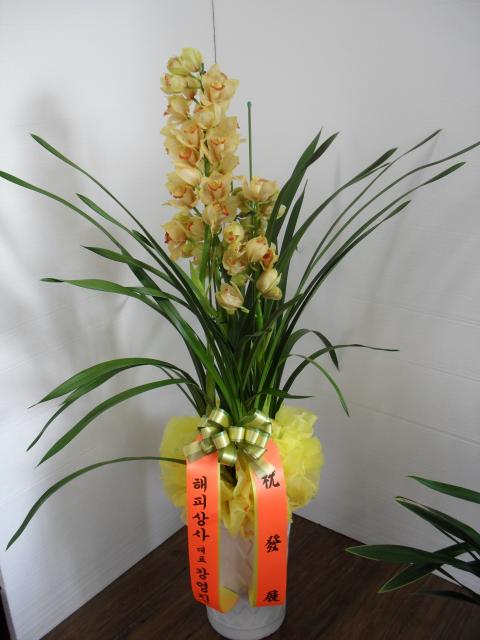 2-26 ǻ 糭