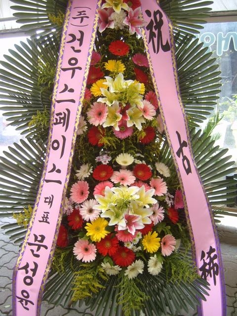 6-11 ǿ콺̽ 3