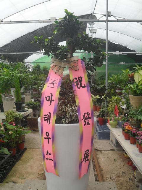 6-23 ¿콺 