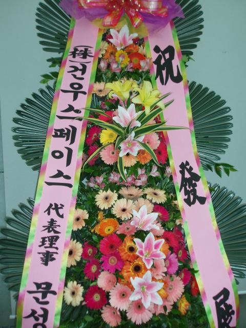 6-24 ǿ콺̽ 3