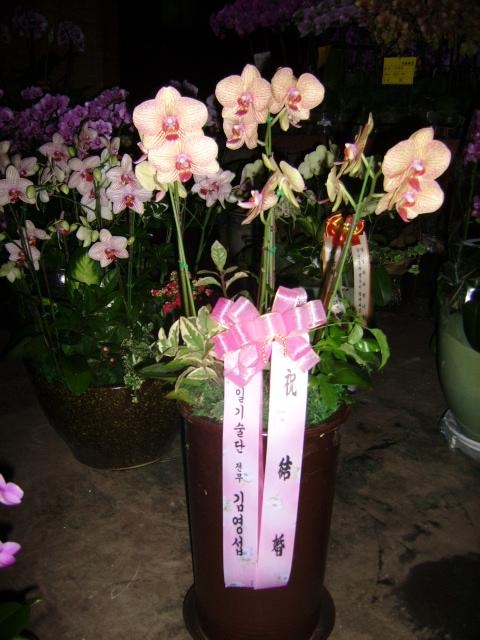 7-23 迵 糭