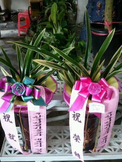 8-01 ѱǼ 糭