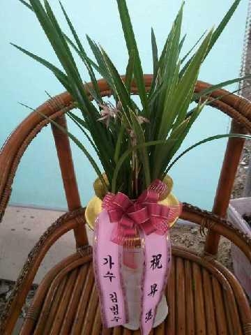 8-05 Ѻǰ 糭
