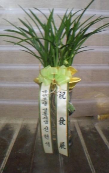 8-08 踸 糭