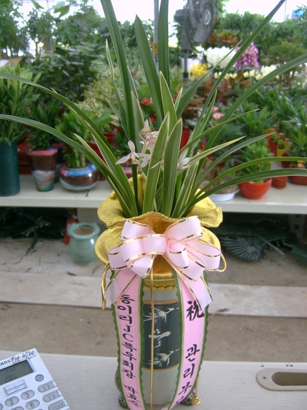 9-05 ̸jc 糭