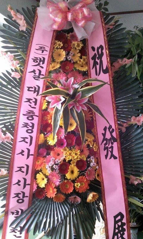 9-07 ޻ 3
