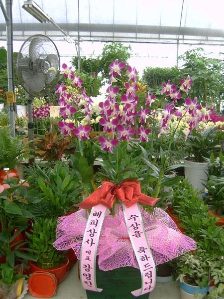 9-07 ǻ 糭