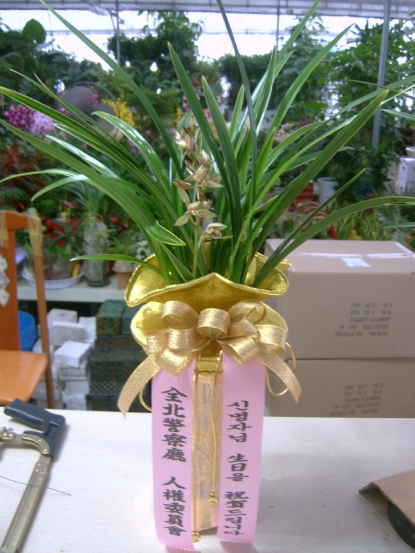 9-29 ڸƻ 糭