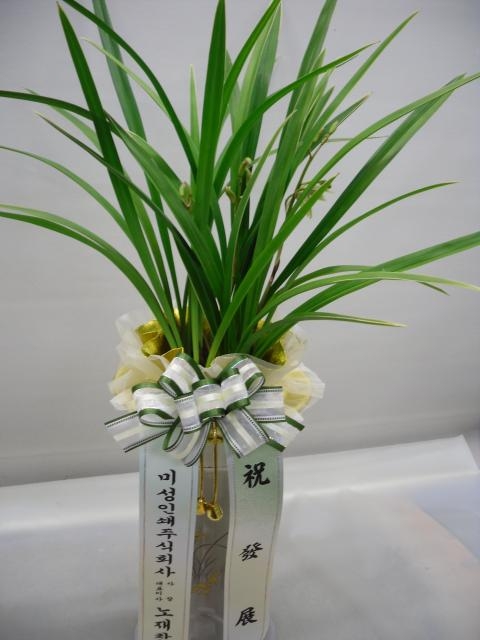 10-10 ̼μ 糭